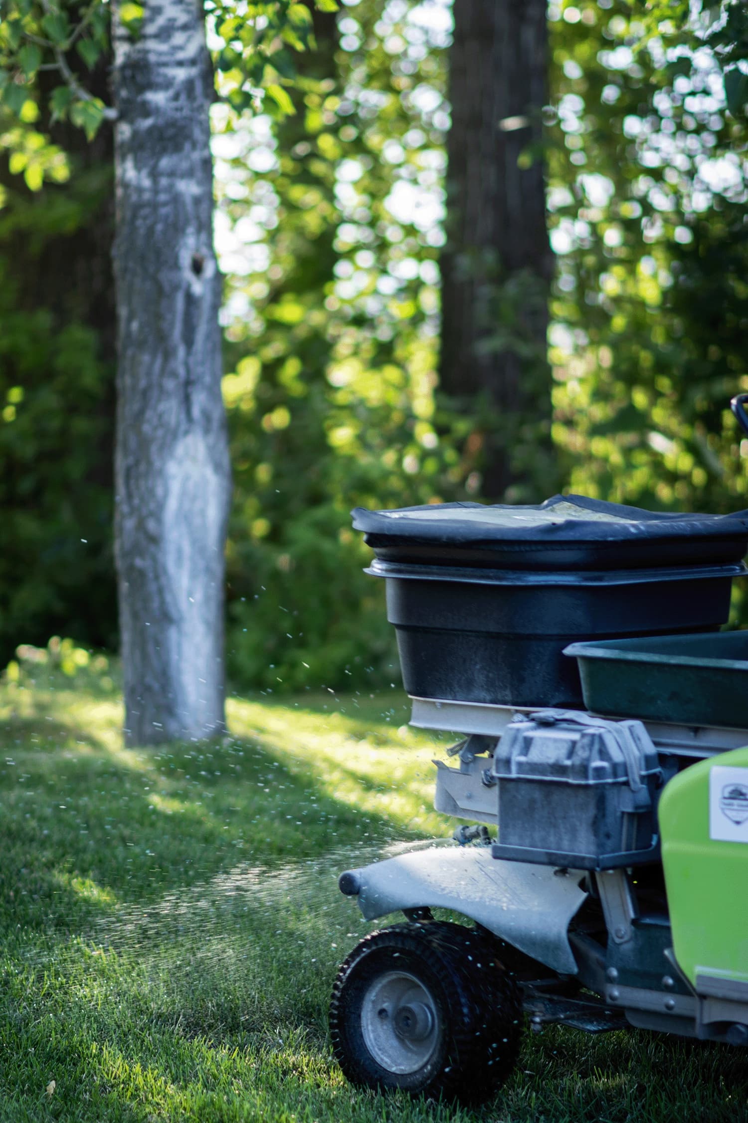 Riding mower in a sunlit grove of trees
